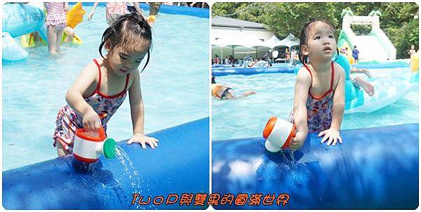 cats26.jpg cats26.jpg