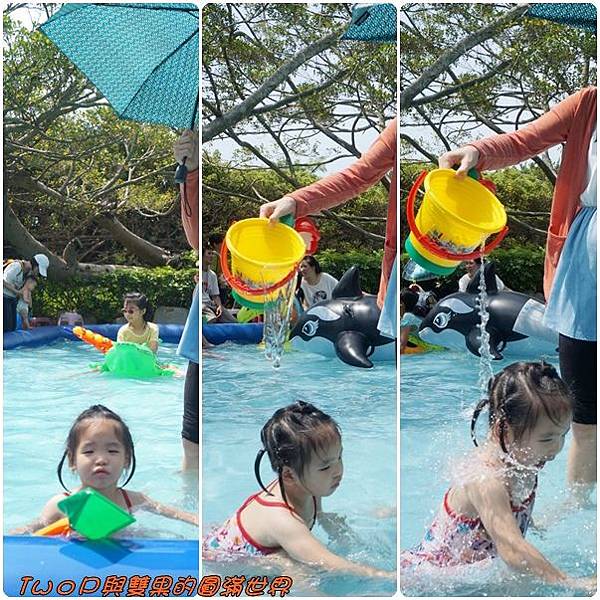 cats27.jpg cats27.jpg