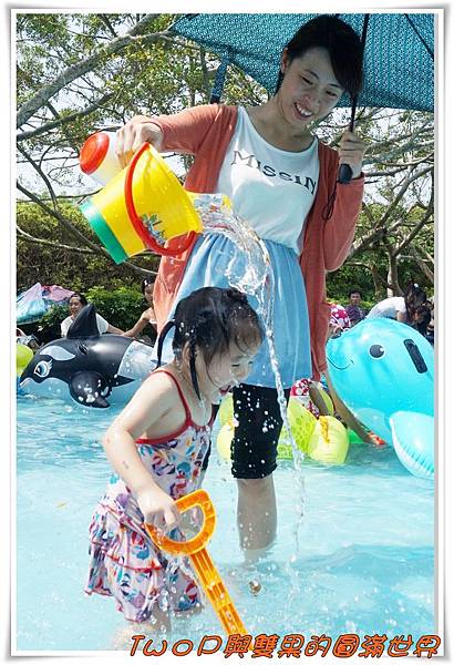 cats28.jpg cats28.jpg