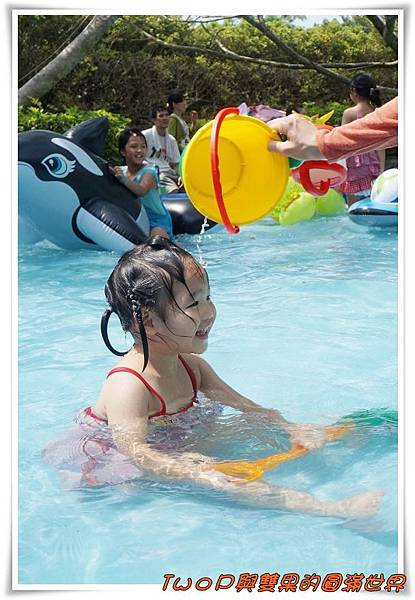 cats29.jpg cats29.jpg