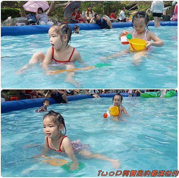 cats30.jpg cats30.jpg