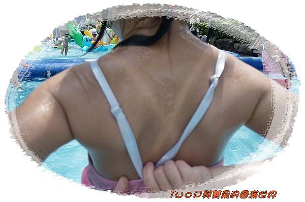 cats31.jpg cats31.jpg