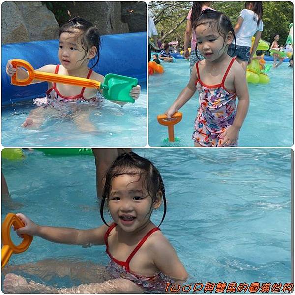 cats33.jpg cats33.jpg