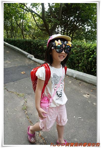 cats34.jpg cats34.jpg