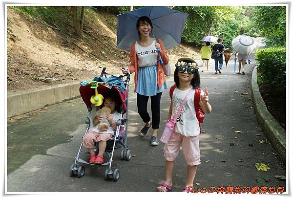 cats35.jpg cats35.jpg