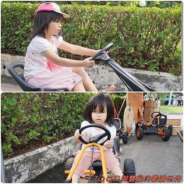 cats36.jpg cats36.jpg