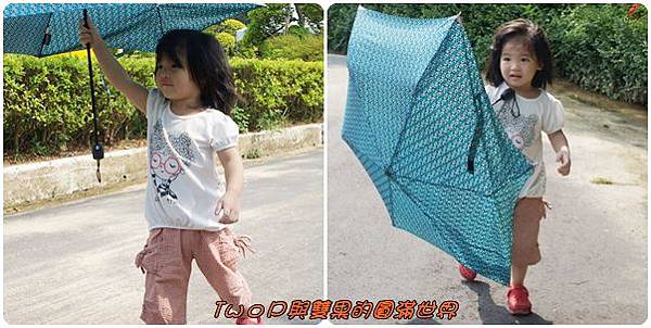 cats37.jpg cats37.jpg