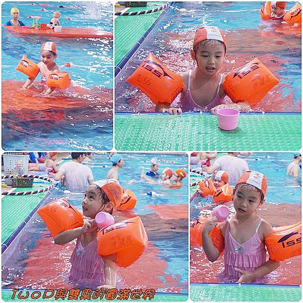 cats3-1.jpg cats3-1.jpg