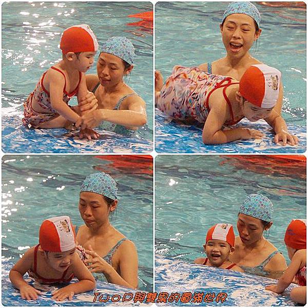 cats3-5.jpg cats3-5.jpg