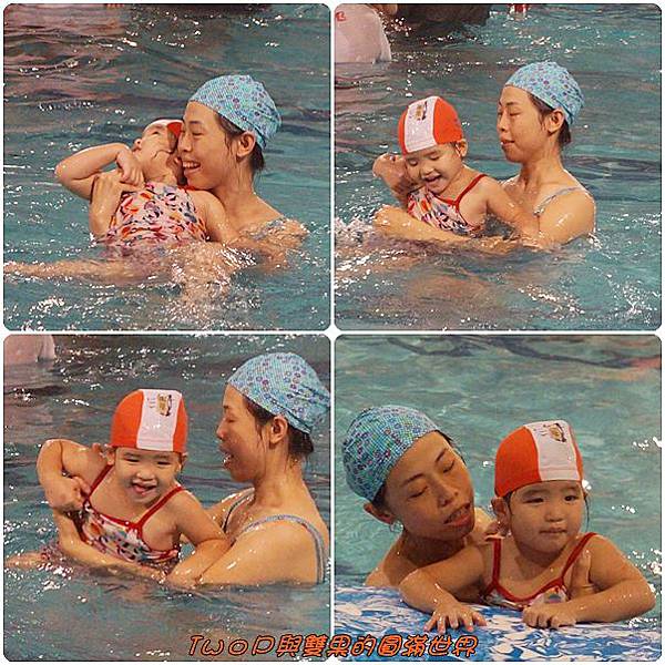 cats3-7.jpg cats3-7.jpg