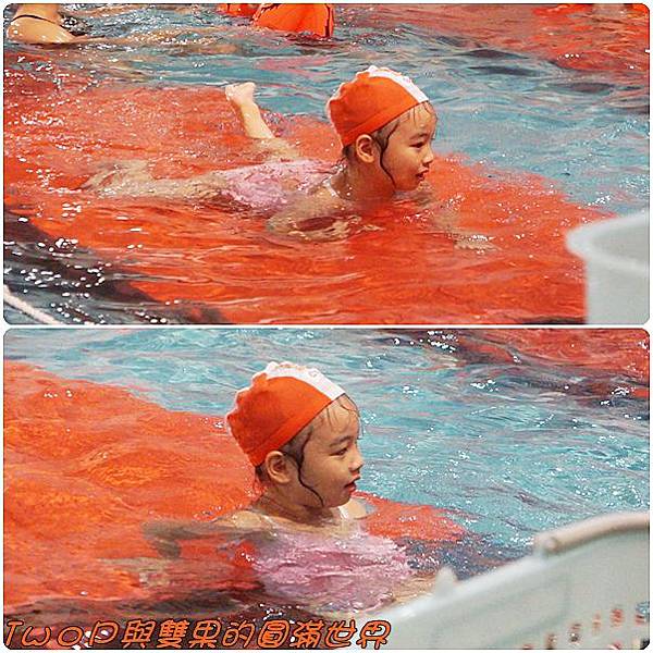 cats4-2.jpg cats4-2.jpg