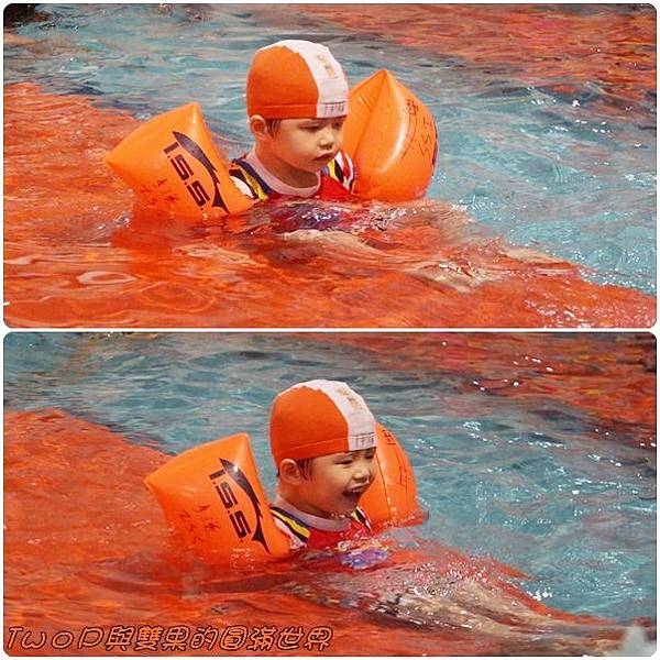 cats4-3.jpg cats4-3.jpg