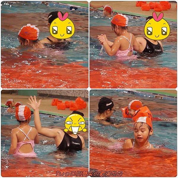 cats4-5.jpg cats4-5.jpg