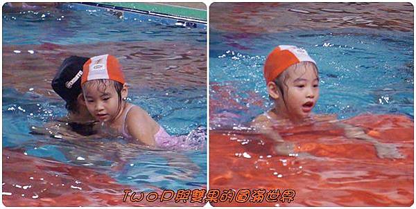 cats4-7.jpg cats4-7.jpg