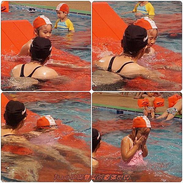 cats4-8.jpg cats4-8.jpg