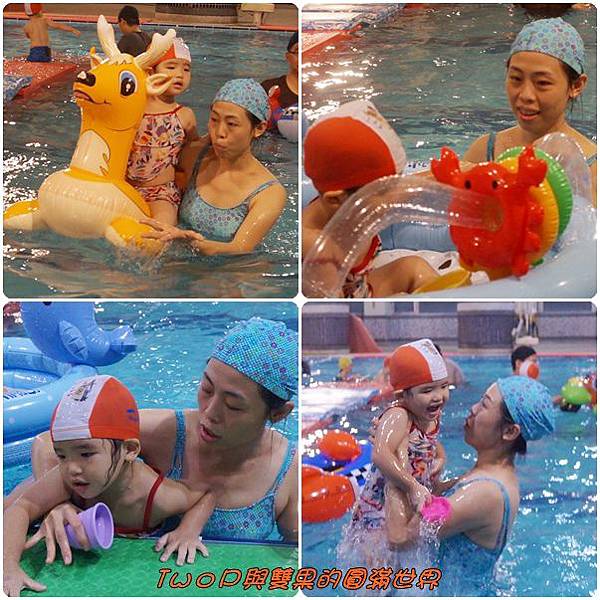 cats11.jpg cats11.jpg