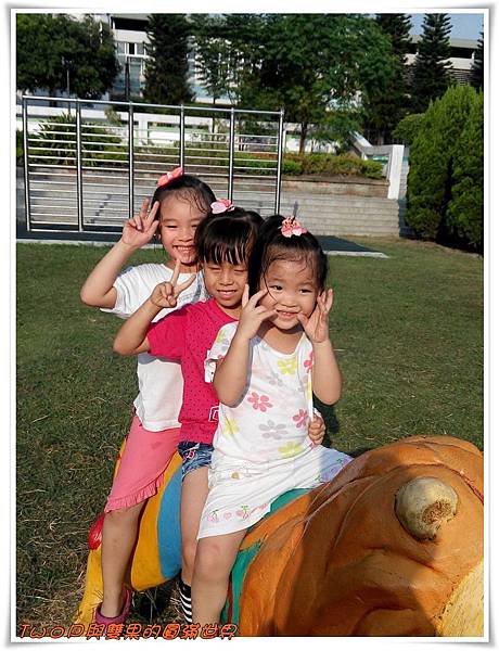 cats10-.jpg cats10-.jpg