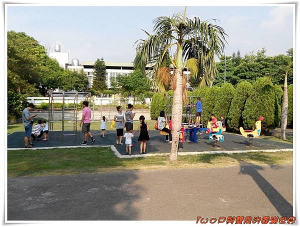 cats10-1.jpg cats10-1.jpg