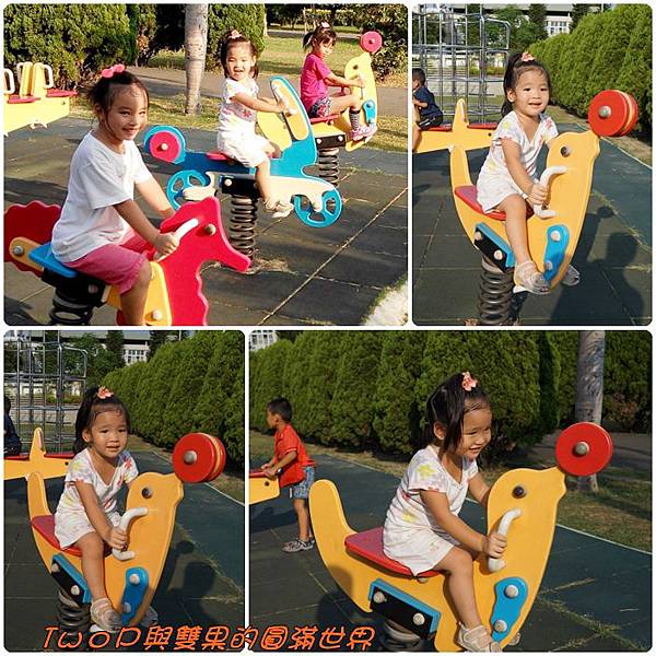 cats10-2.jpg cats10-2.jpg