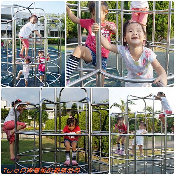 cats10-3.jpg cats10-3.jpg