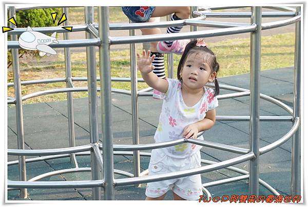 cats10-4.jpg cats10-4.jpg