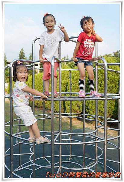 cats10-5.jpg cats10-5.jpg