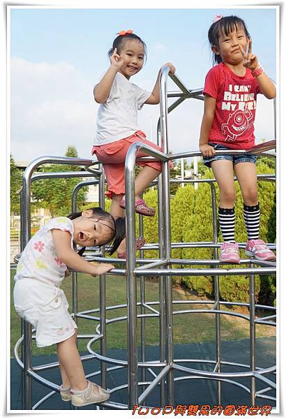 cats10-7.jpg cats10-7.jpg