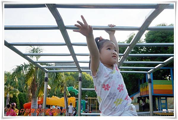 cats10-8.jpg cats10-8.jpg