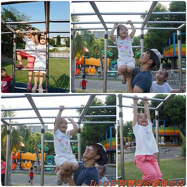 cats10-9.jpg cats10-9.jpg