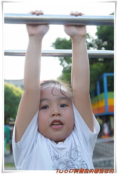 cats10-10.jpg cats10-10.jpg