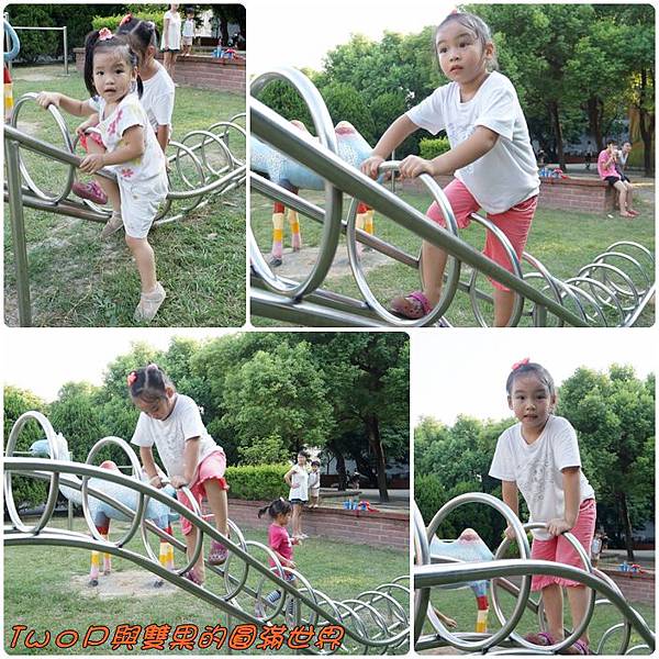 cats10-11.jpg cats10-11.jpg