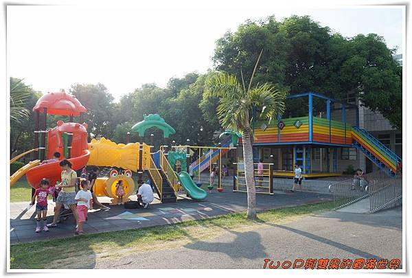 cats11.jpg cats11.jpg