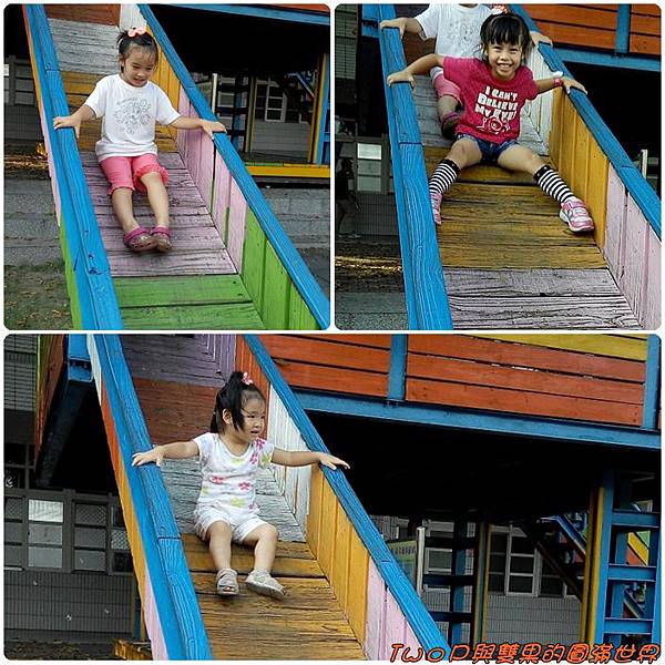 cats11-1.jpg cats11-1.jpg