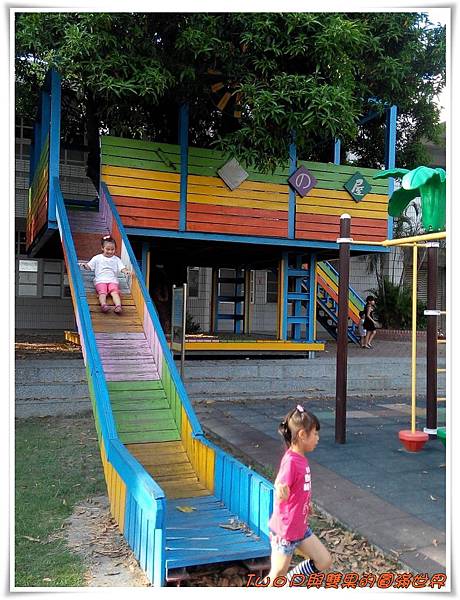 cats11-2.jpg cats11-2.jpg