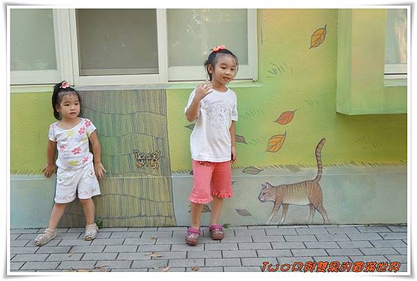 cats11-3.jpg cats11-3.jpg