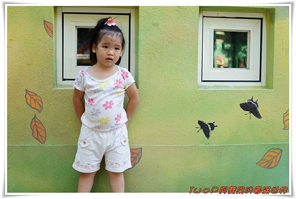 cats11-4.jpg cats11-4.jpg