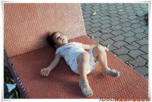 cats11-7.jpg cats11-7.jpg