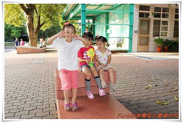 cats11-8.jpg cats11-8.jpg