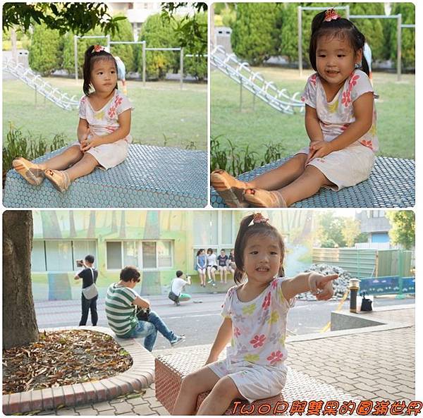 cats11-9.jpg cats11-9.jpg