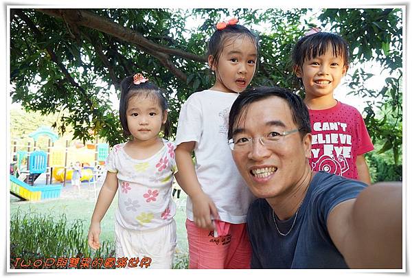 cats11-11.jpg cats11-11.jpg