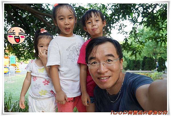 cats11-12.jpg cats11-12.jpg