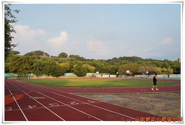 cats12.jpg cats12.jpg