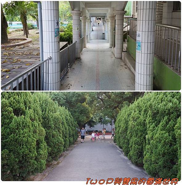 cats13.jpg cats13.jpg