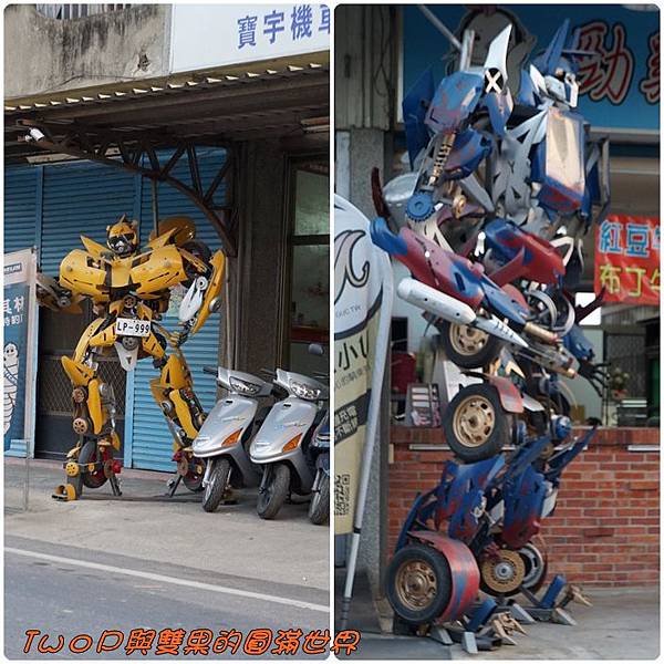 cats14.jpg cats14.jpg