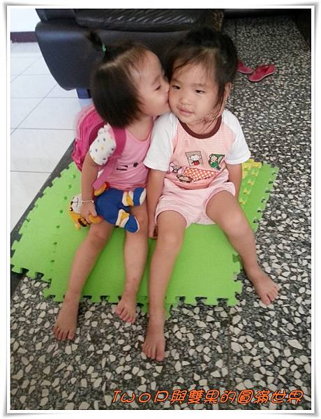 cats10.jpg cats10.jpg