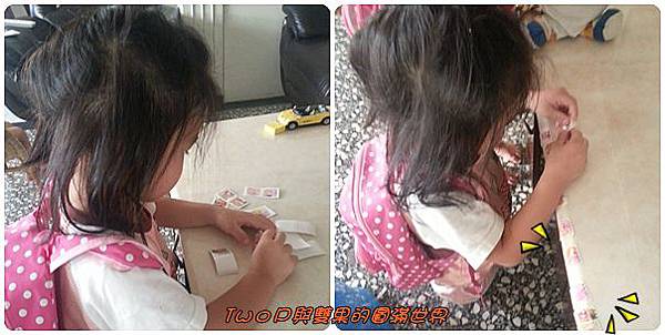 cats11.jpg cats11.jpg