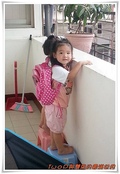 cats12.jpg cats12.jpg