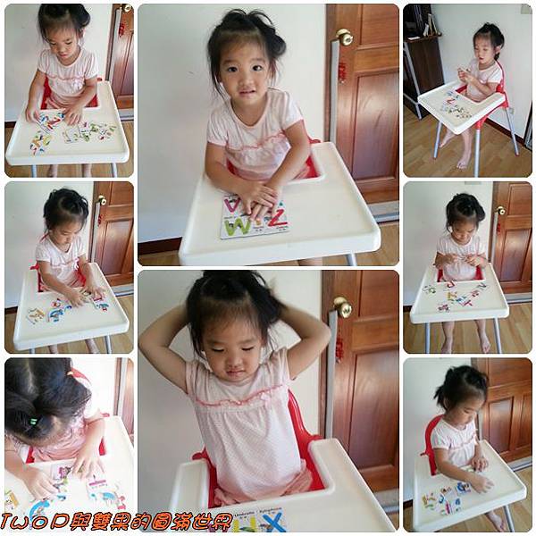 cats13.jpg cats13.jpg