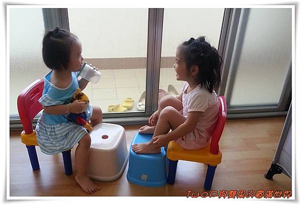 cats14.jpg cats14.jpg