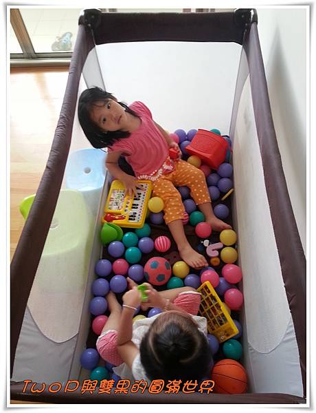 cats15.jpg cats15.jpg